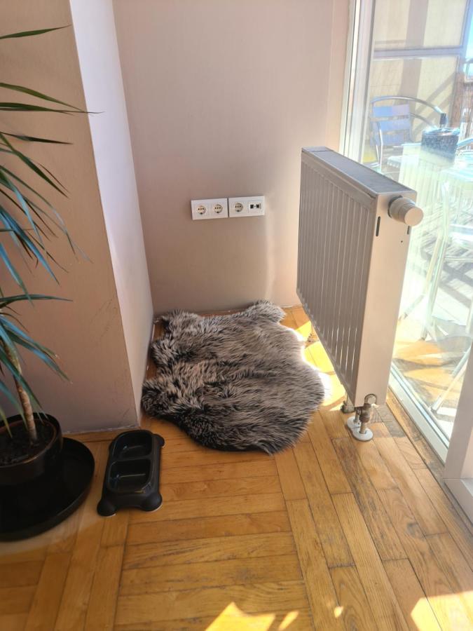 Apartman *Joy* Osijek Zewnętrze zdjęcie